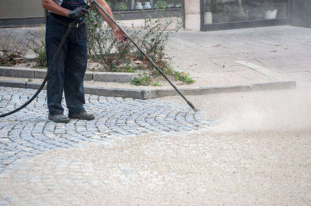 Best Gutter Cleaning  in Scottsboro, AL
