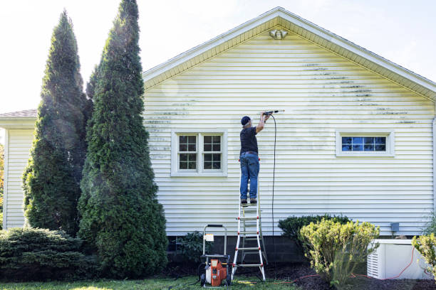 Best Patio and Deck Pressure Washing  in Scottsboro, AL